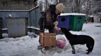Graves problemas en el suministro de energía, el duro panorama que le espera a Ucrania en invierno