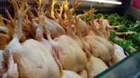 Consecuencias de la gripe aviar: suben los precios del sector avícola 