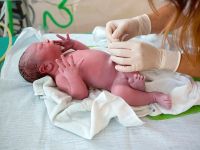 Neuquén supera la media nacional en tasas de natalidad y logra reducir la mortalidad infantil